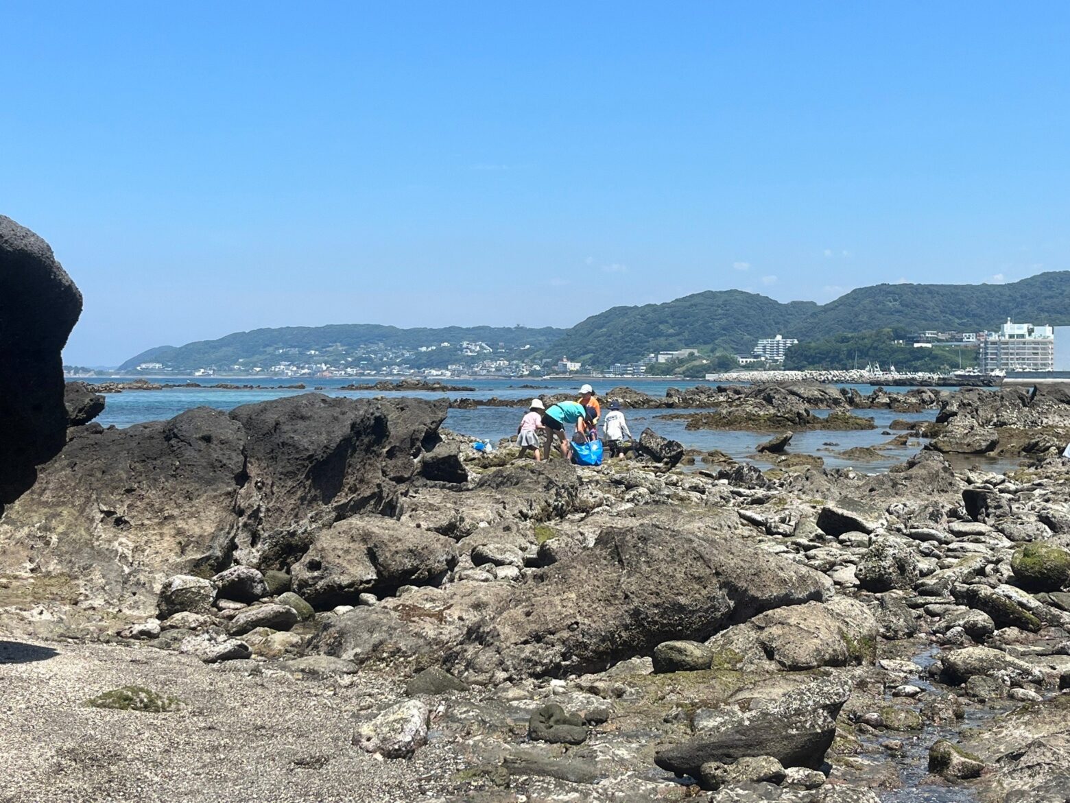 サマーキャンプ2024@ランゲージ・ハウスKamakura。天神島に行き、磯遊びしている際の様子。